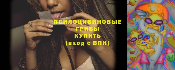 стаф Володарск