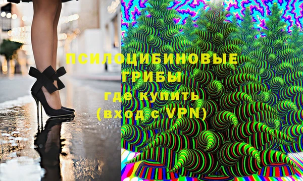 стаф Володарск