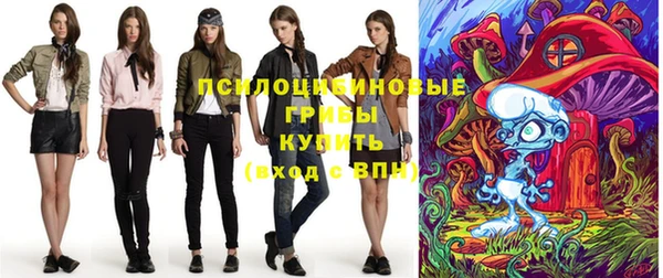 стаф Володарск
