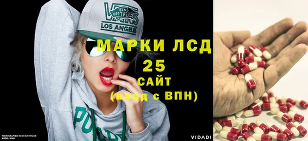 стаф Володарск