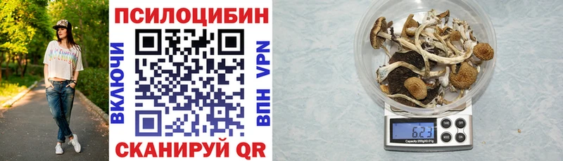 Галлюциногенные грибы Psilocybine cubensis  где можно купить   Первоуральск 